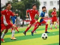 成都蓉城VS重庆铜梁龙直播_成都蓉城VS重庆铜梁龙高清直播免费观看无插件_重庆铜梁龙vs中超成都蓉城直播免费观看高清